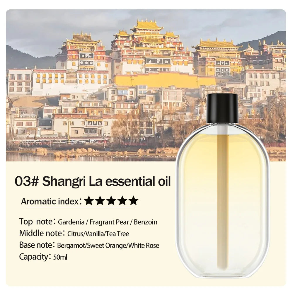 Rechargeable Portable Aroma Diffuser with Timed Spray Modes