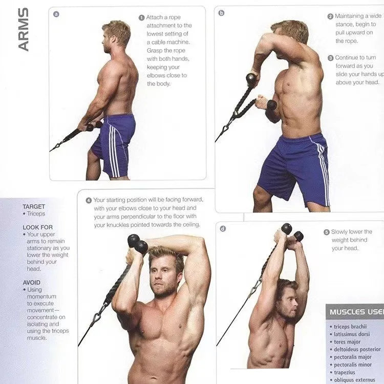 Triceps Pull Down Rope Cable Attachment for Gym Workouts